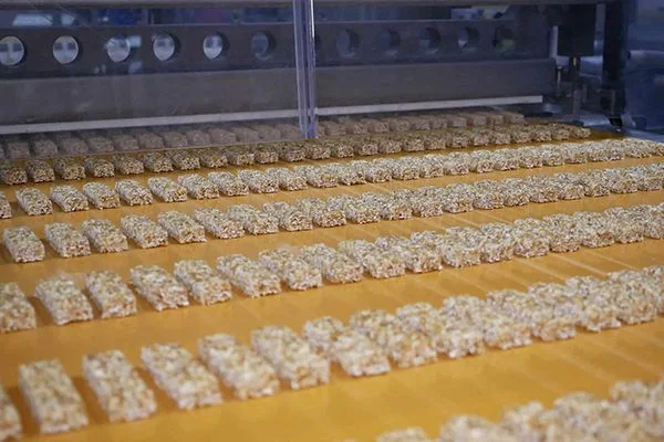Müsliriegel auf dem Förderband in der Produktion von DE-VAU-GE
